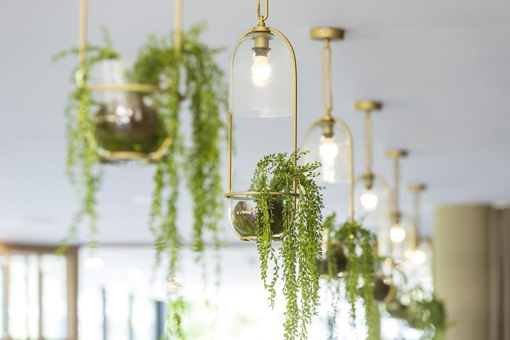 Vibe Hotel Rushcutters Bay シドニー エクステリア 写真